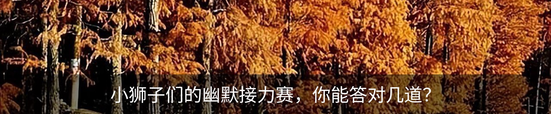 行业资讯