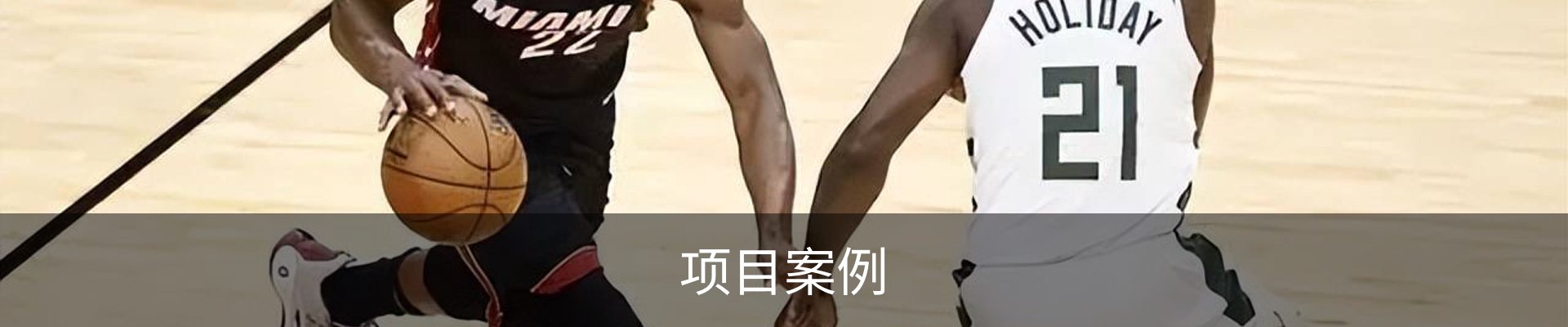 项目案例